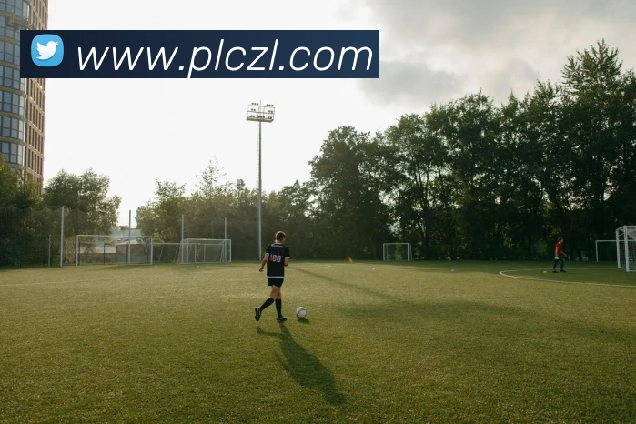 App Interface Preview